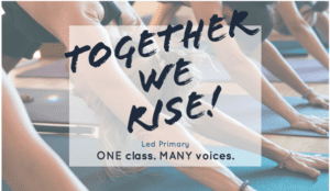 Together we rise Ashtanga Yoga Dispatch