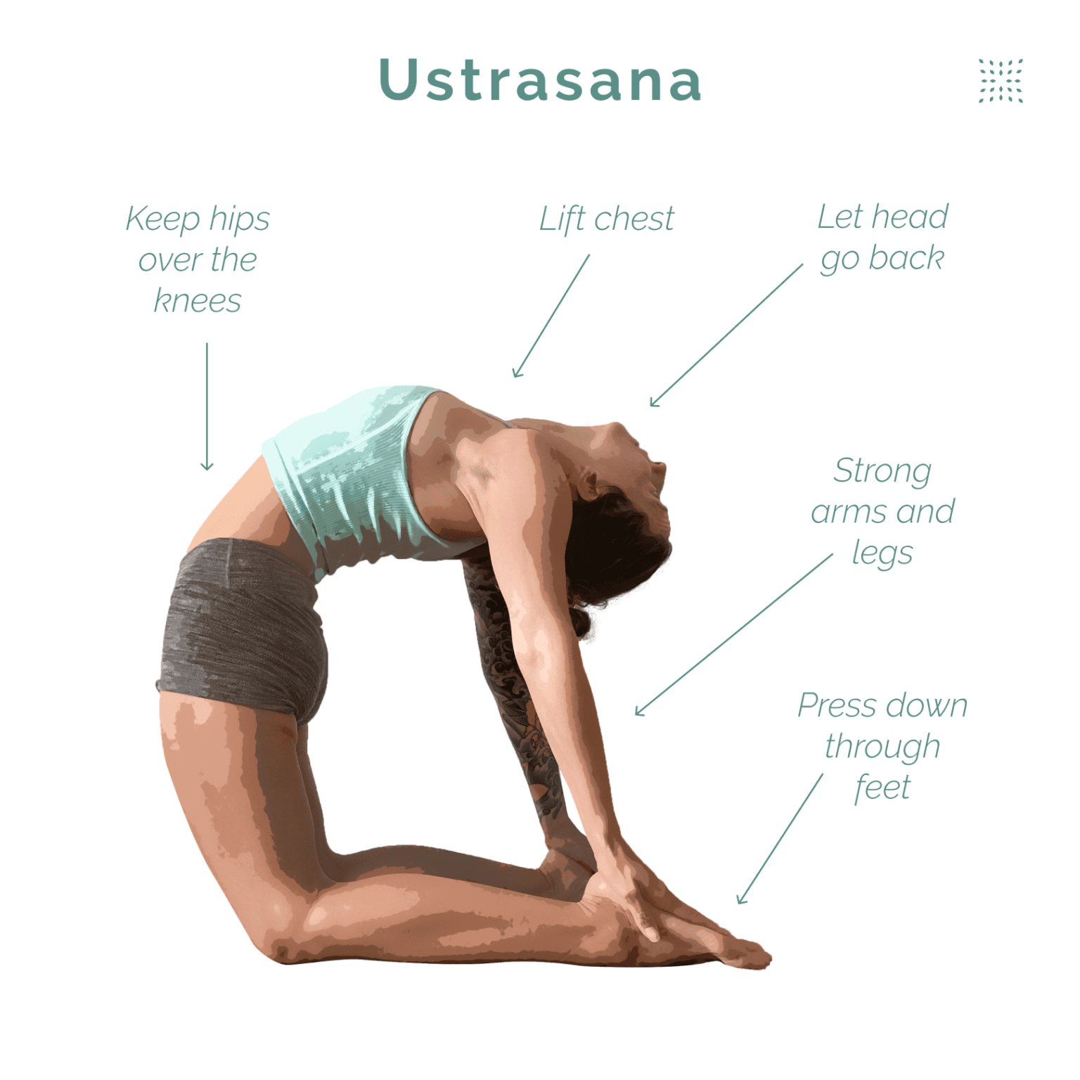 Weekly Pose Tutorial Ustrasana (Camel Pose) OmStars