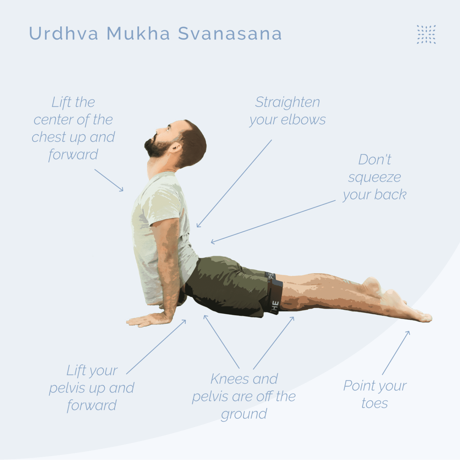 How to do Urdhva Mukha Svanasana (Upward Facing Dog) OmStars