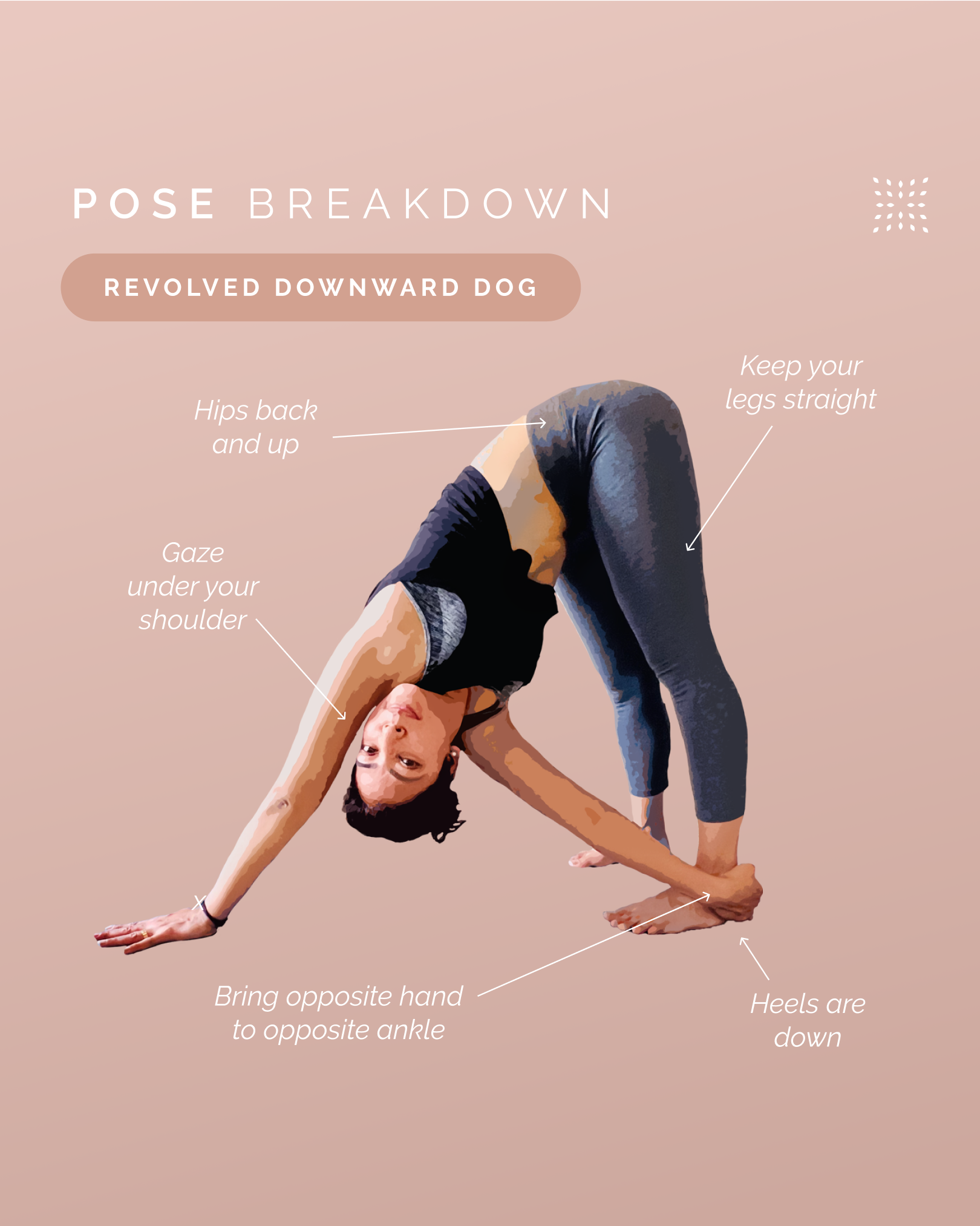 How To Do Revolved Downward Dog OmStars