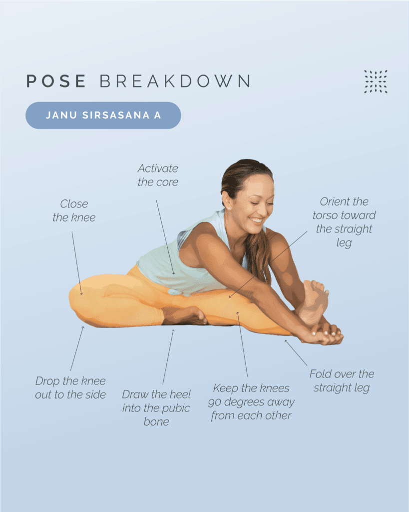 Mastering Janu Sirsasana A: Tips and Techniques – Omstars