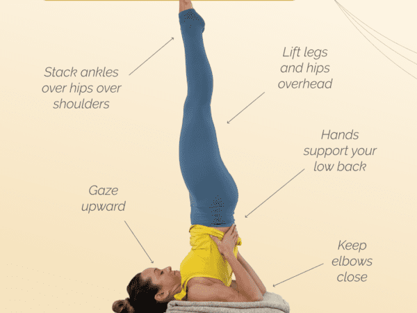 Sarvāṅgāsana: The Posture of All Limbs