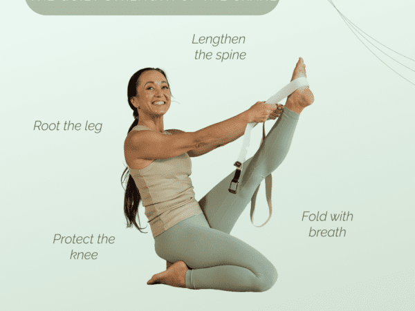 Krouñcāsana: The Quiet Strength of the Crane