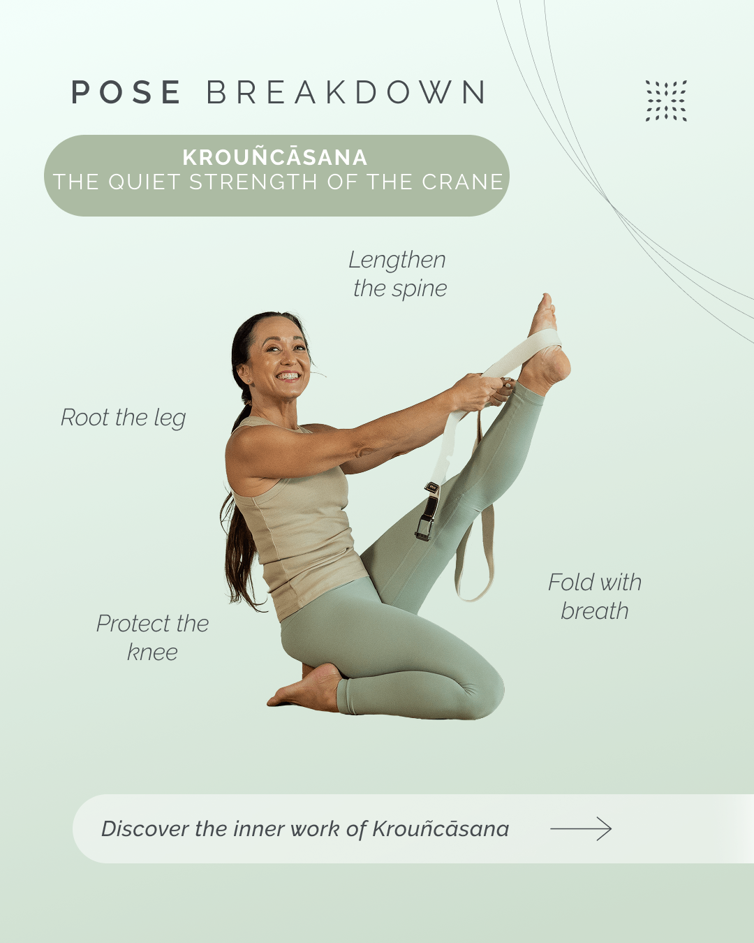 Krouñcāsana: The Quiet Strength of the Crane
